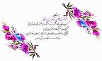 پژوهشگر برتر دانشگاهی