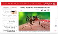 آگاهی  مردم بندرعباس درباره تب دنگی/ آموزش تنها کافی نیست